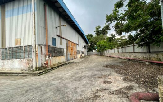 PLENTONG FACTORY FOR SALE