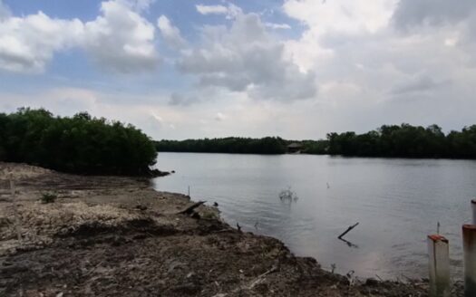 Tanjung Pelepas Heavy Industry Land For Sale