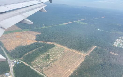 Agriculture Land for Sale in Kluang Johor | 1,124 Acres | RM8.50 per sqft Investment Opportunity