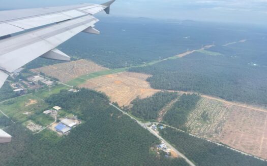 Agriculture Land for Sale in Kluang Johor | 1,124 Acres | RM8.50 per sqft Investment Opportunity