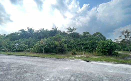 Prime Commercial Land for Sale Along the Main Road in Iskandar Puteri Medini